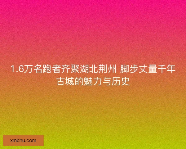 1.6万名跑者齐聚湖北荆州 脚步丈量千年古城的魅力与历史